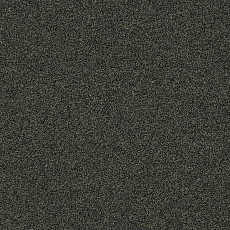 Ковровая плитка Interface Polichrome Stipple 4265008 Peat фото 1 | FLOORDEALER